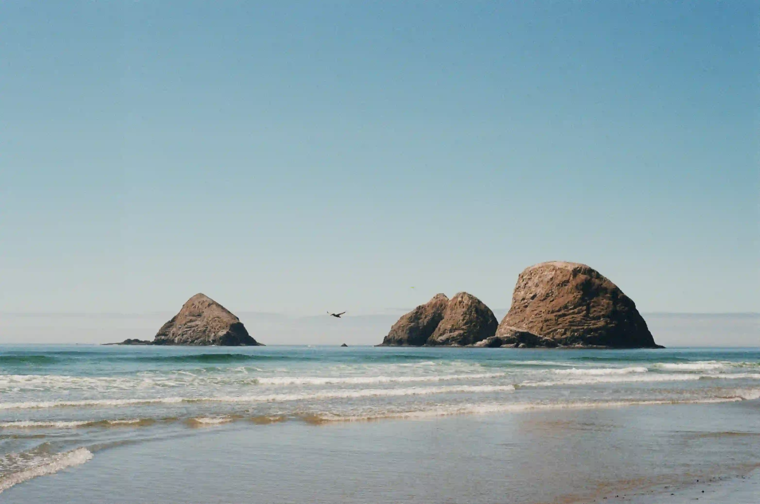 film/11-30-2025/oceanbird