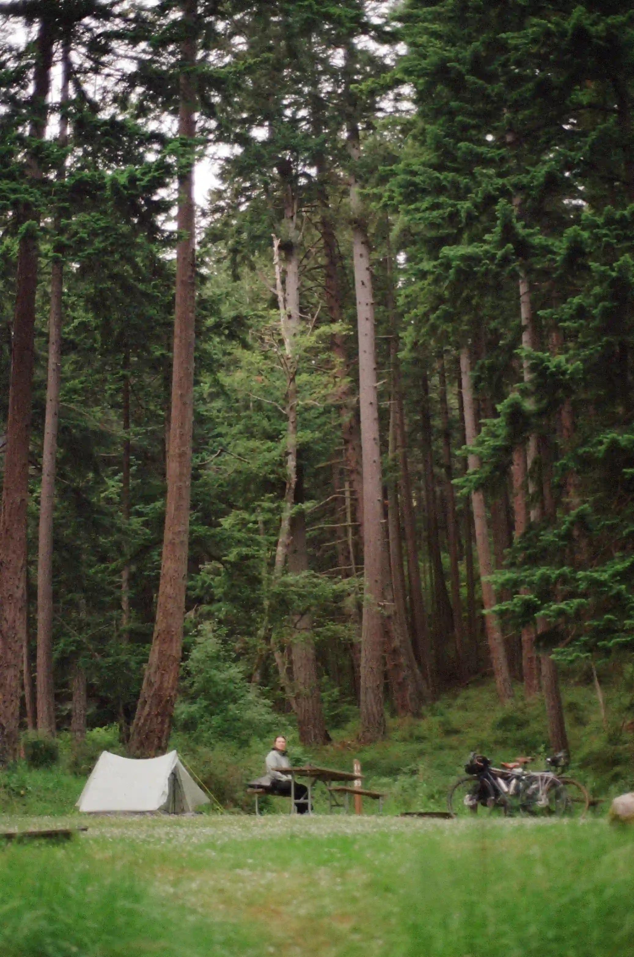 film/7-7-2026/perrin-orcas