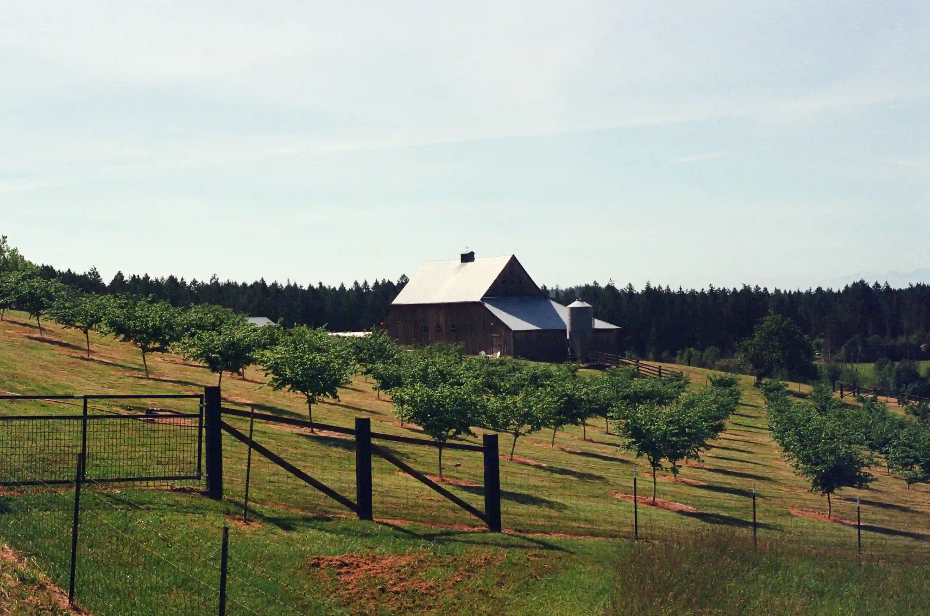 film/7-7-2026/san-juan-farm