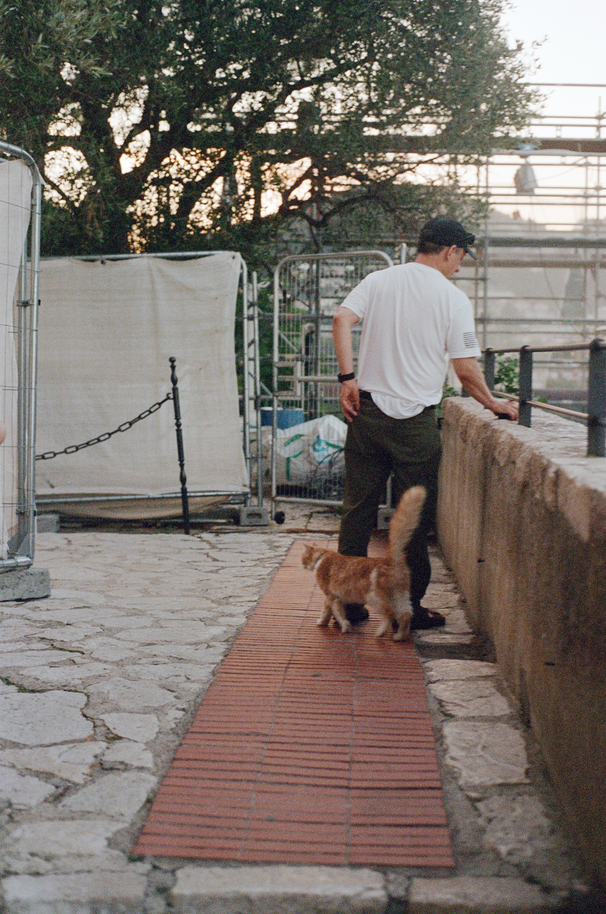 film/9-24-2026/13a