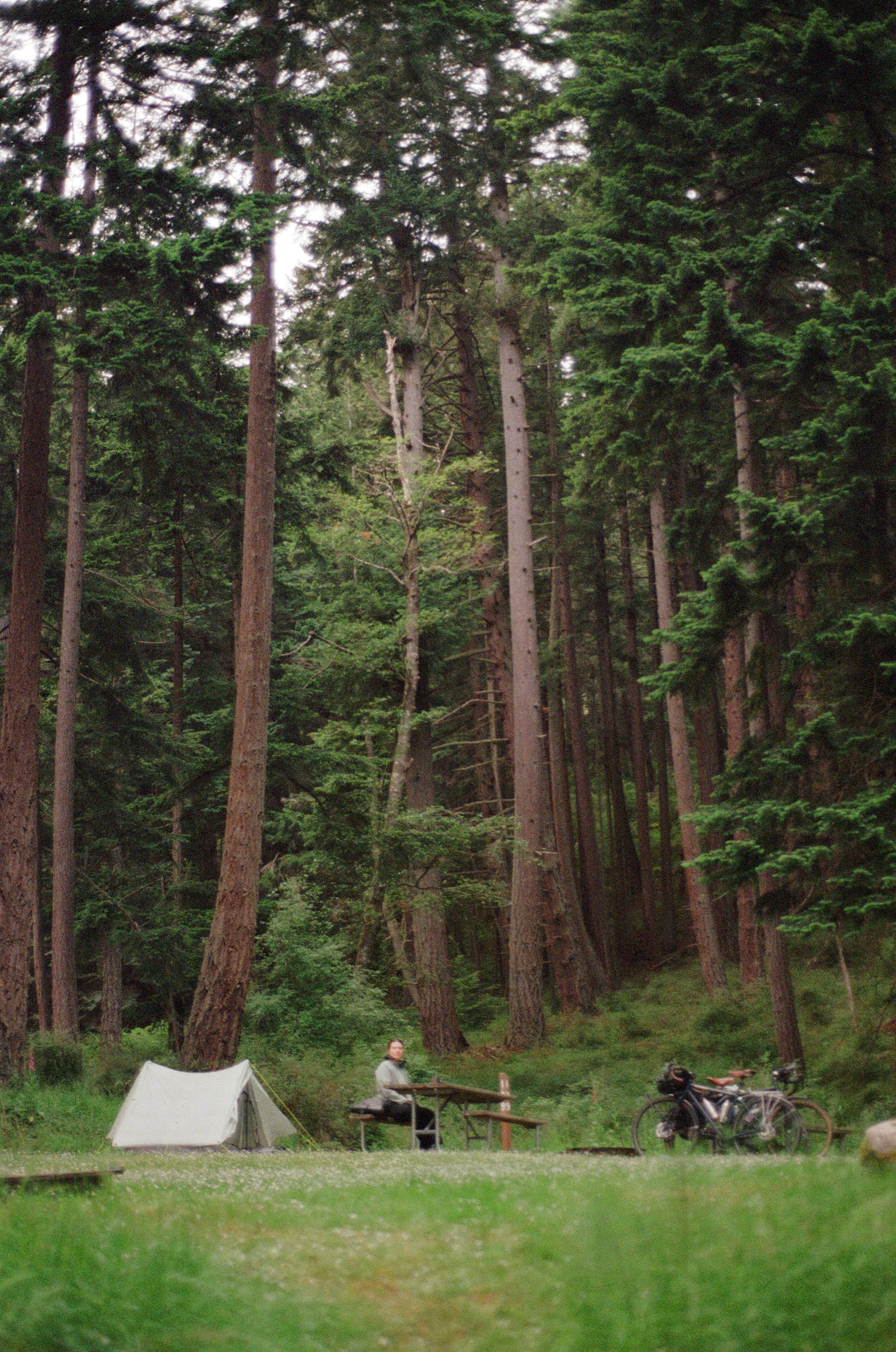 film/7-7-2026/perrin-orcas