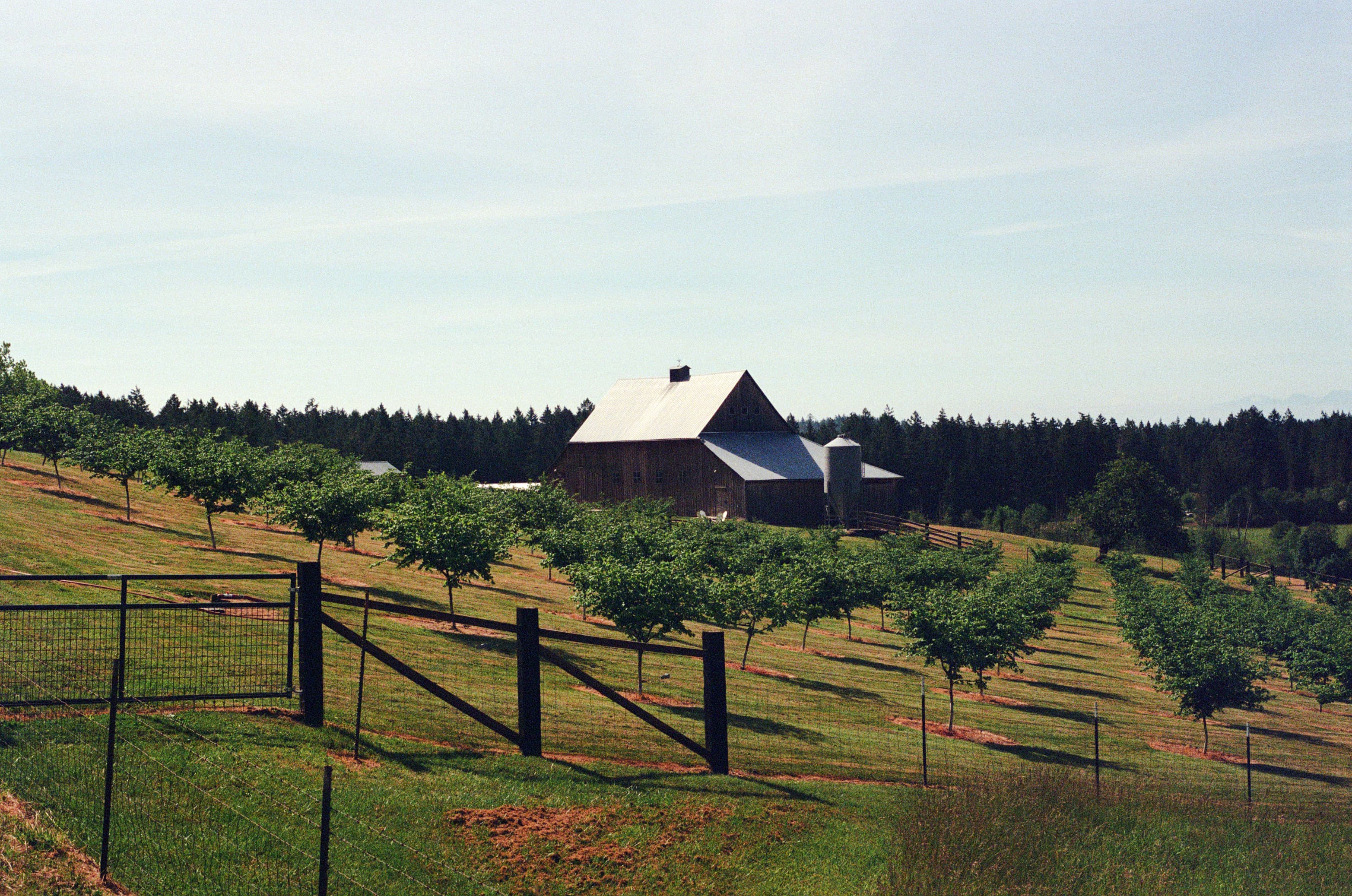 film/7-7-2026/san-juan-farm