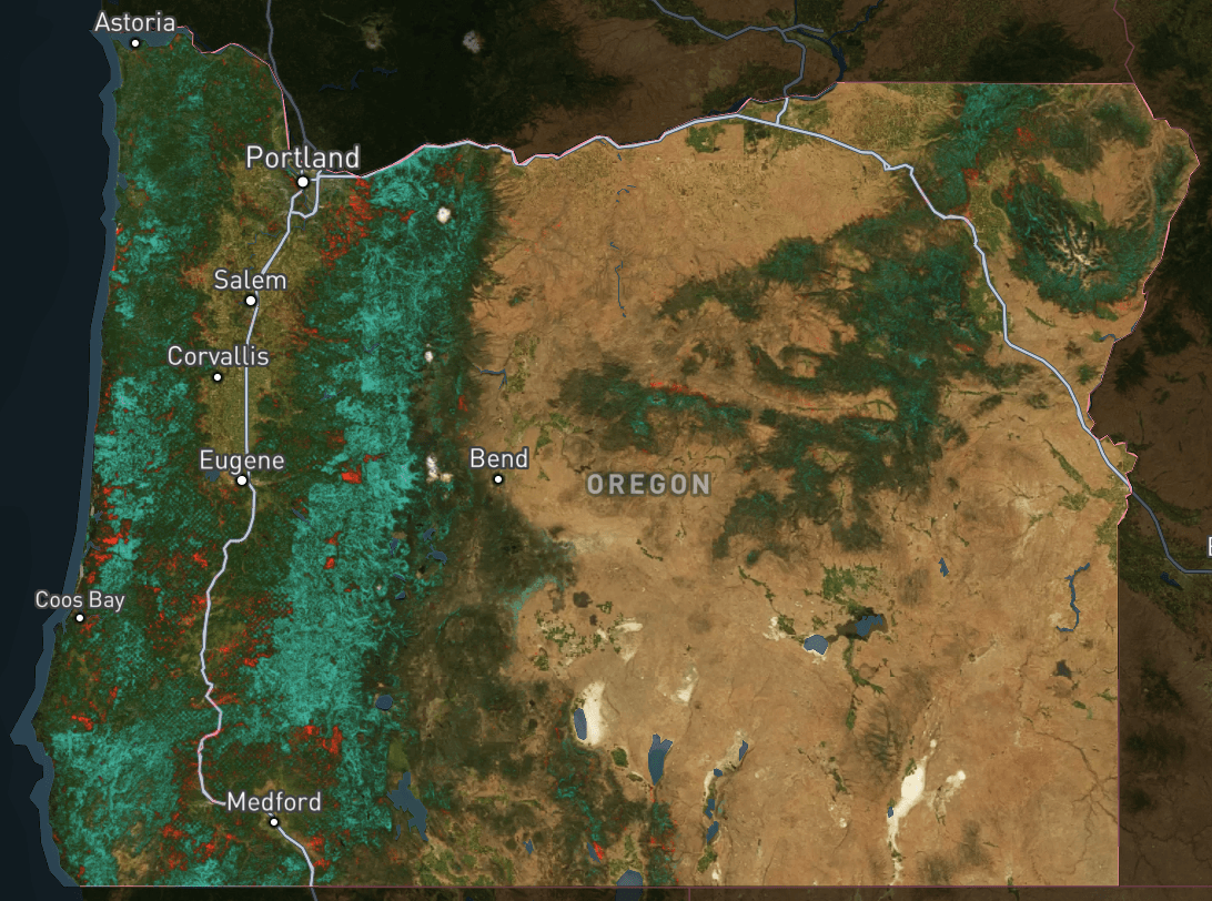 A Map of Old Growth Forests in Oregon